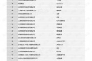 国产56页,揭秘中国自主研发的先进技术